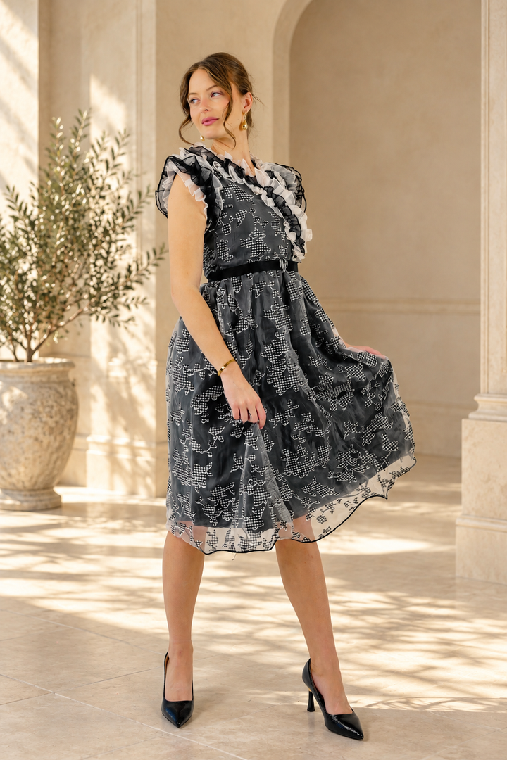 Midnight Bloom Ruffled Organza Dress