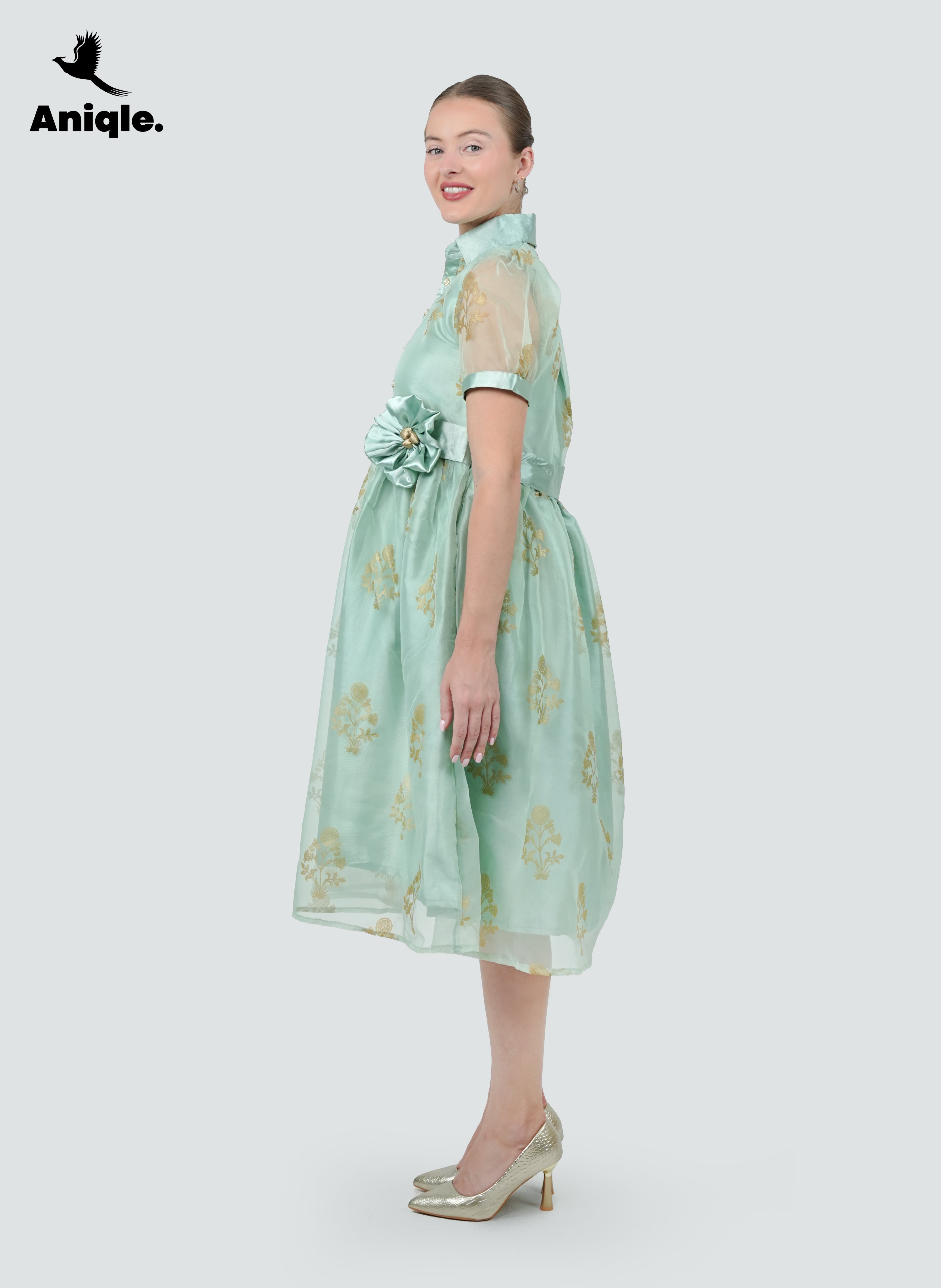 ANQ-10036-Mint Bloom Printed Organza Dress