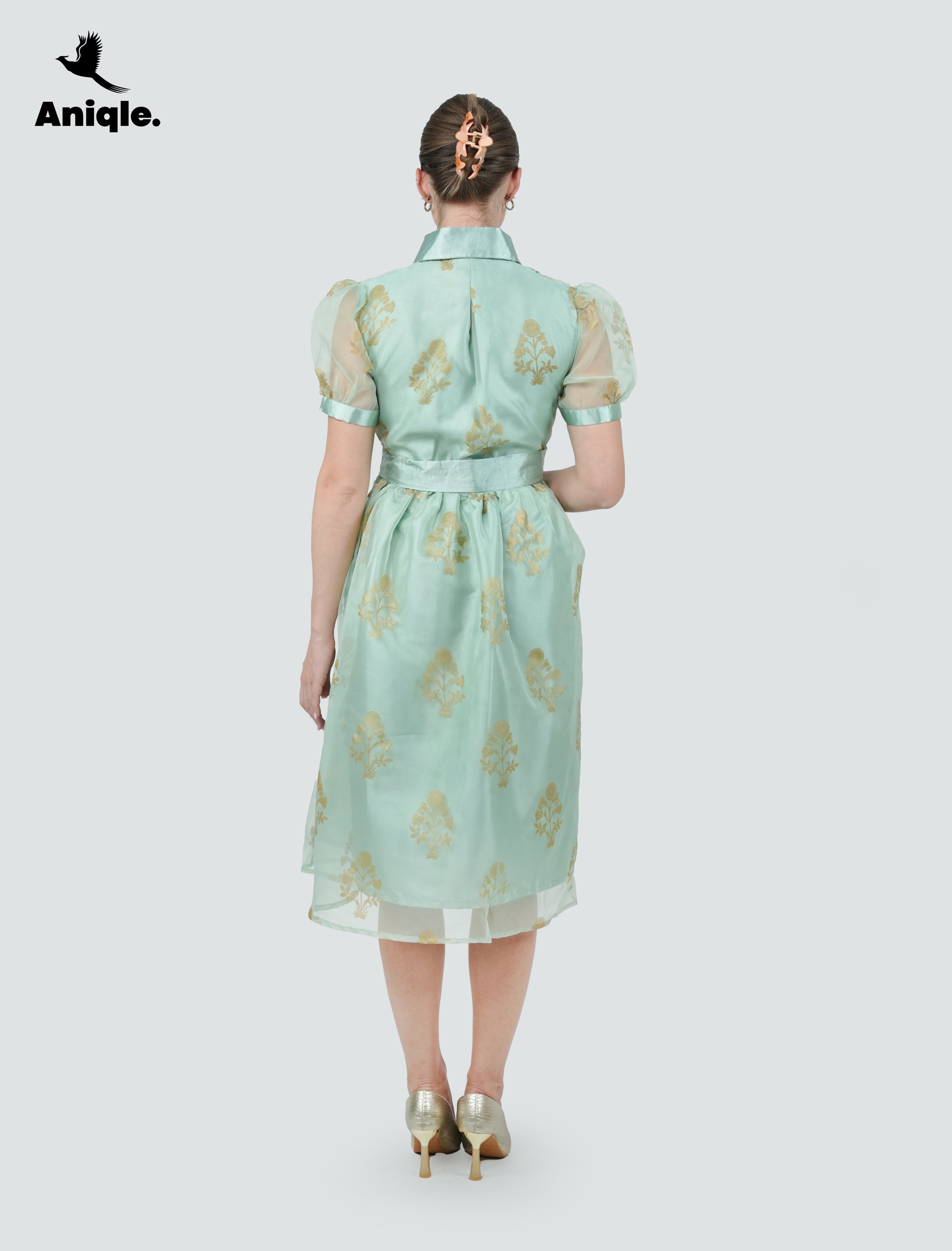 ANQ-10036-Mint Bloom Printed Organza Dress