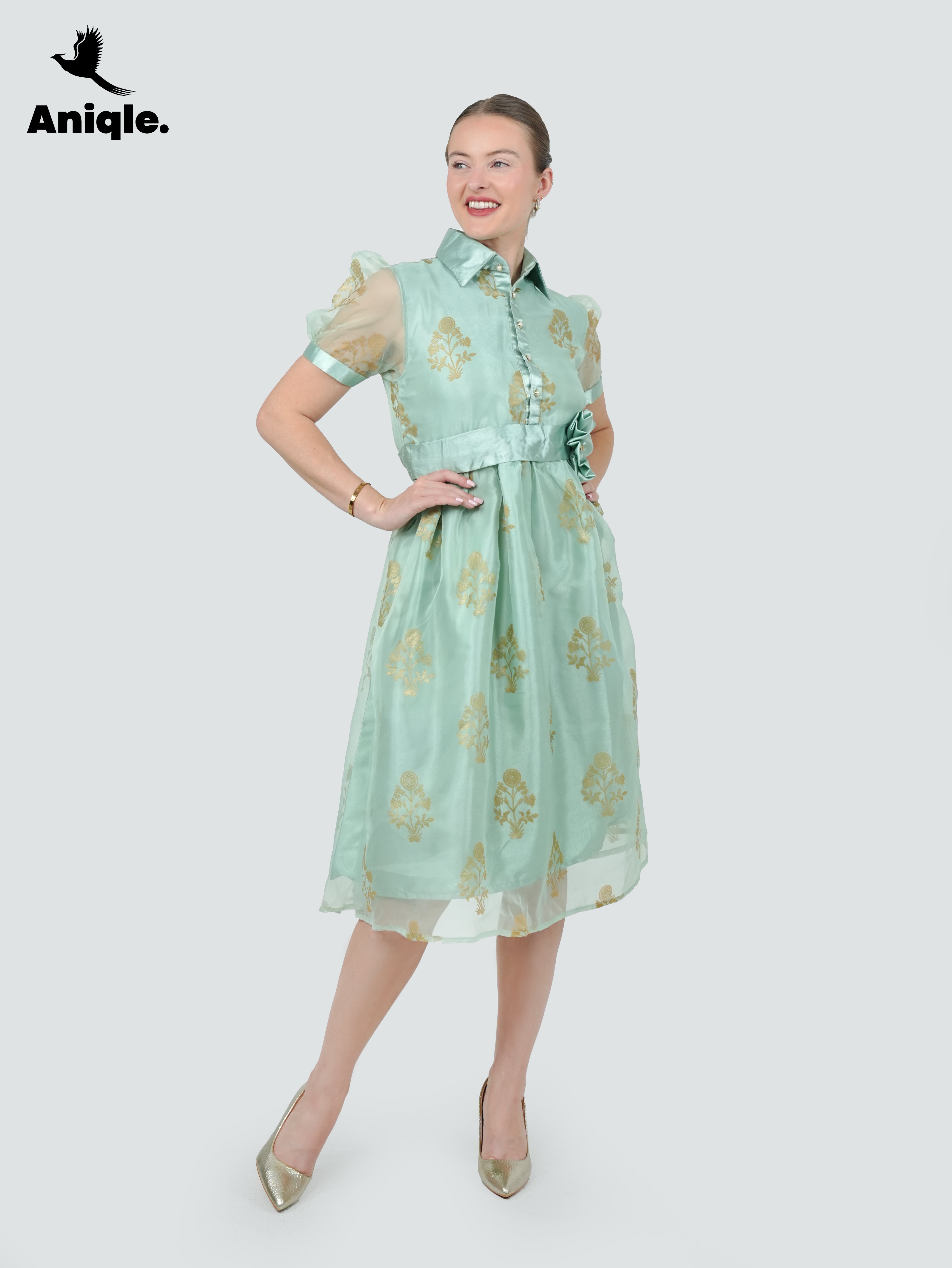 ANQ-10036-Mint Bloom Printed Organza Dress