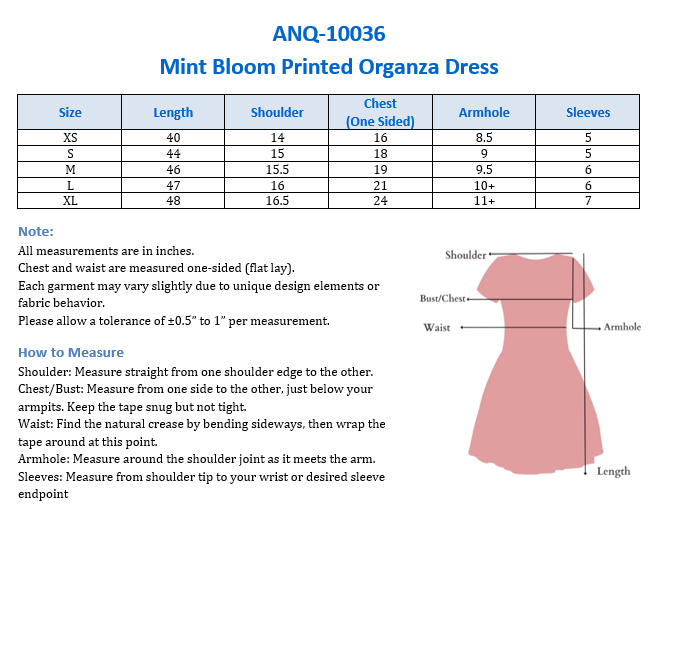 ANQ-10036-Mint Bloom Printed Organza Dress